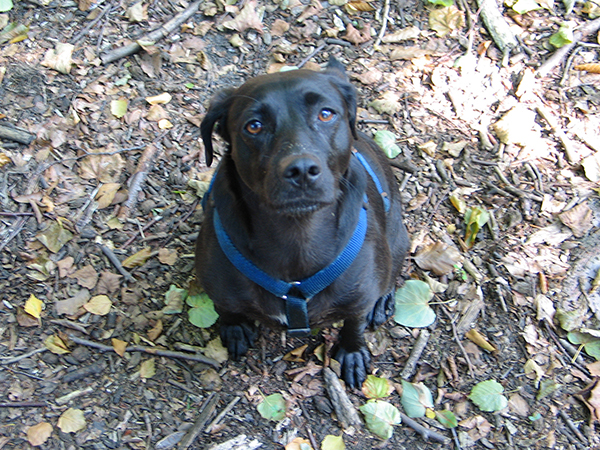 Thumbnail 002_Cleo.jpg