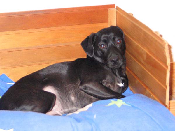 Thumbnail 005_Cleo.jpg