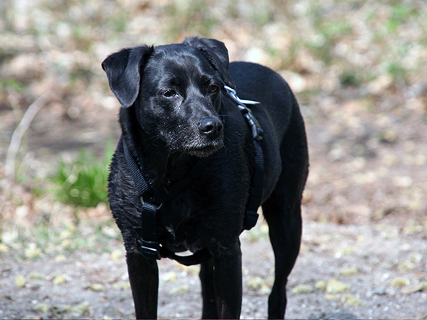 Thumbnail 008_Cleo.jpg