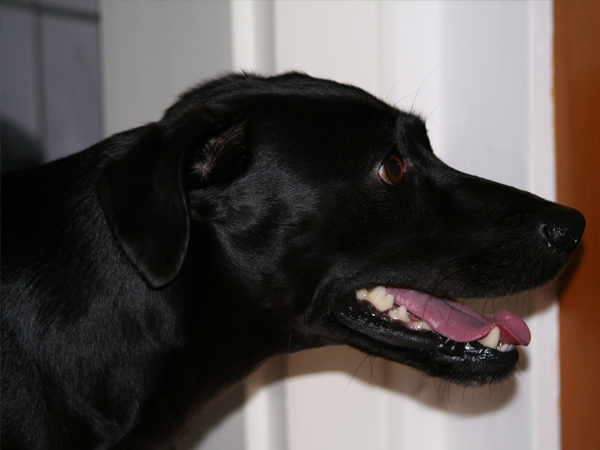 Thumbnail 016_Cleo.jpg