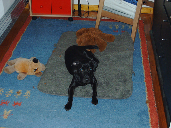 Thumbnail IMAG0004.JPG
