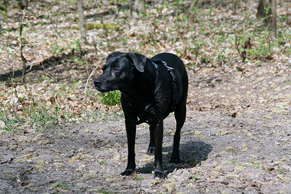 Thumbnail IMG_7195.JPG